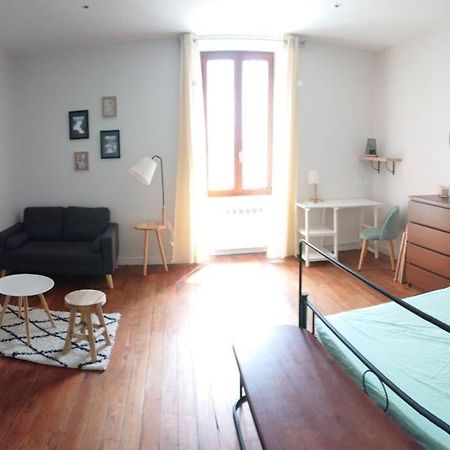 Le Beausejour - Cosy T2 - Business Ou We - Gare Appartement Bellegarde-sur-Valserine Buitenkant foto